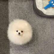 ヒメ日記 2026/02/20 08:03 投稿 体験なな ミセスコレクション