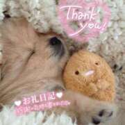 ヒメ日記 2026/02/20 12:43 投稿 体験なな ミセスコレクション