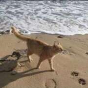 ヒメ日記 2026/02/21 08:13 投稿 体験なな ミセスコレクション