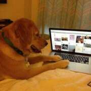 ヒメ日記 2026/02/21 12:07 投稿 体験なな ミセスコレクション