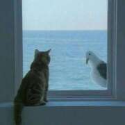 ヒメ日記 2026/02/23 08:03 投稿 体験なな ミセスコレクション