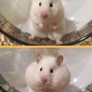 ヒメ日記 2026/02/23 12:06 投稿 体験なな ミセスコレクション