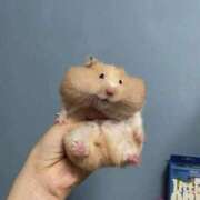 ヒメ日記 2026/02/24 08:13 投稿 体験なな ミセスコレクション