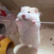 ヒメ日記 2026/02/25 08:03 投稿 体験なな ミセスコレクション