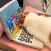 体験なな お昼休憩入りました︎‪💕🌟 ̖́-🤗🩷 ̖́- ミセスコレクション