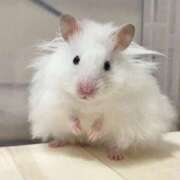 ヒメ日記 2026/03/03 08:13 投稿 体験なな ミセスコレクション