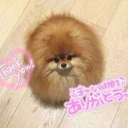 ヒメ日記 2026/03/03 19:43 投稿 体験なな ミセスコレクション