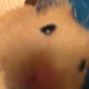 ヒメ日記 2026/03/04 08:13 投稿 体験なな ミセスコレクション