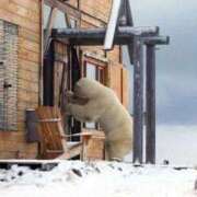 ヒメ日記 2026/03/05 08:13 投稿 体験なな ミセスコレクション