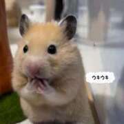 ヒメ日記 2026/03/06 08:04 投稿 体験なな ミセスコレクション