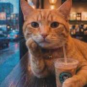 ヒメ日記 2026/03/06 12:17 投稿 体験なな ミセスコレクション