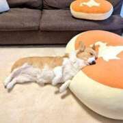 ヒメ日記 2026/03/07 08:03 投稿 体験なな ミセスコレクション