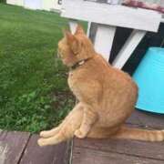 ヒメ日記 2026/03/08 08:13 投稿 体験なな ミセスコレクション