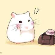 ヒメ日記 2026/03/09 17:03 投稿 体験なな ミセスコレクション