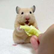 ヒメ日記 2026/03/12 12:06 投稿 体験なな ミセスコレクション