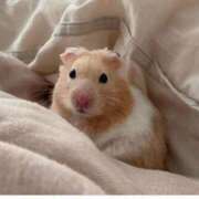 ヒメ日記 2026/03/13 08:03 投稿 体験なな ミセスコレクション