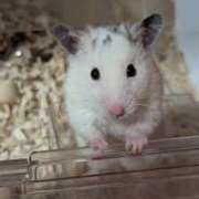 ヒメ日記 2026/03/16 08:03 投稿 体験なな ミセスコレクション