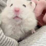 ヒメ日記 2026/03/27 02:23 投稿 体験なな ミセスコレクション