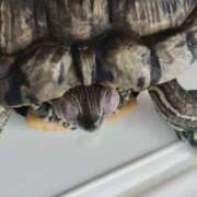 ヒメ日記 2026/04/04 08:03 投稿 体験なな ミセスコレクション