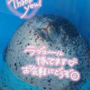 ヒメ日記 2026/04/06 00:50 投稿 体験なな ミセスコレクション
