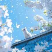 ヒメ日記 2026/04/07 08:13 投稿 体験なな ミセスコレクション