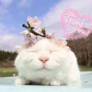 ヒメ日記 2026/04/08 03:23 投稿 体験なな ミセスコレクション