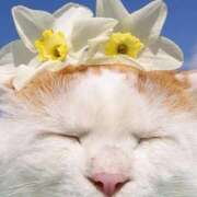 ヒメ日記 2026/04/08 08:13 投稿 体験なな ミセスコレクション