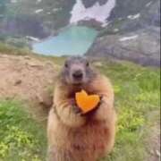 ヒメ日記 2026/04/09 12:07 投稿 体験なな ミセスコレクション