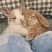 ヒメ日記 2026/04/10 02:33 投稿 体験なな ミセスコレクション