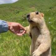 ヒメ日記 2026/04/10 08:03 投稿 体験なな ミセスコレクション