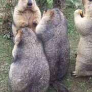 ヒメ日記 2026/04/10 12:23 投稿 体験なな ミセスコレクション