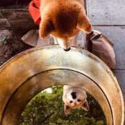 ヒメ日記 2026/04/11 08:13 投稿 体験なな ミセスコレクション