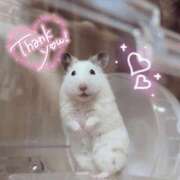 ヒメ日記 2026/04/12 02:23 投稿 体験なな ミセスコレクション