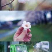 ヒメ日記 2026/04/12 08:13 投稿 体験なな ミセスコレクション