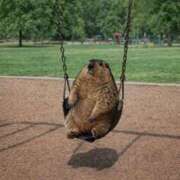 ヒメ日記 2026/04/13 08:13 投稿 体験なな ミセスコレクション