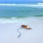 ヒメ日記 2026/04/14 08:13 投稿 体験なな ミセスコレクション