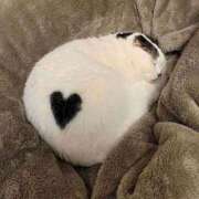 ヒメ日記 2026/04/14 12:06 投稿 体験なな ミセスコレクション