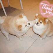 体験なな 今日もありがとう︎‪💕⭐️✨‪🐹🩷 ̖́-あした︎‪💕⭐️✨🤗🥰❤️ ミセスコレクション