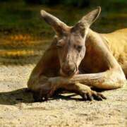 体験なな おはようございます︎‪💕⭐️✨‪🐹🩷 ̖́- ミセスコレクション