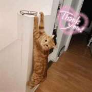 ヒメ日記 2026/04/16 01:04 投稿 体験なな ミセスコレクション