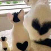 ヒメ日記 2026/04/18 12:06 投稿 体験なな ミセスコレクション