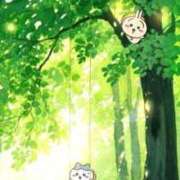 ヒメ日記 2026/04/25 08:13 投稿 体験なな ミセスコレクション