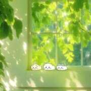 ヒメ日記 2026/05/07 12:17 投稿 体験なな ミセスコレクション