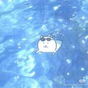 ヒメ日記 2026/05/11 12:17 投稿 体験なな ミセスコレクション