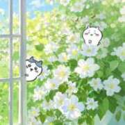 ヒメ日記 2026/05/16 08:13 投稿 体験なな ミセスコレクション