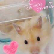 ヒメ日記 2026/05/18 08:03 投稿 体験なな ミセスコレクション