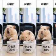 ヒメ日記 2026/06/01 08:03 投稿 体験なな ミセスコレクション