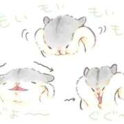 ヒメ日記 2026/07/03 08:03 投稿 体験なな ミセスコレクション