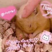 ヒメ日記 2026/07/04 01:43 投稿 体験なな ミセスコレクション