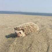 ヒメ日記 2026/07/18 12:04 投稿 体験なな ミセスコレクション